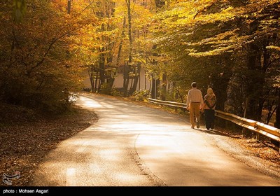 طبیعت پاییزی گرگان