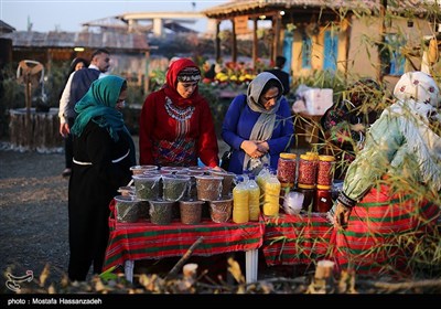 دوازدهمین جشنواره بین‌المللی فرهنگ اقوام-گلستان