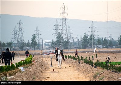 مسابقات جهانی رزم سواره - شیراز