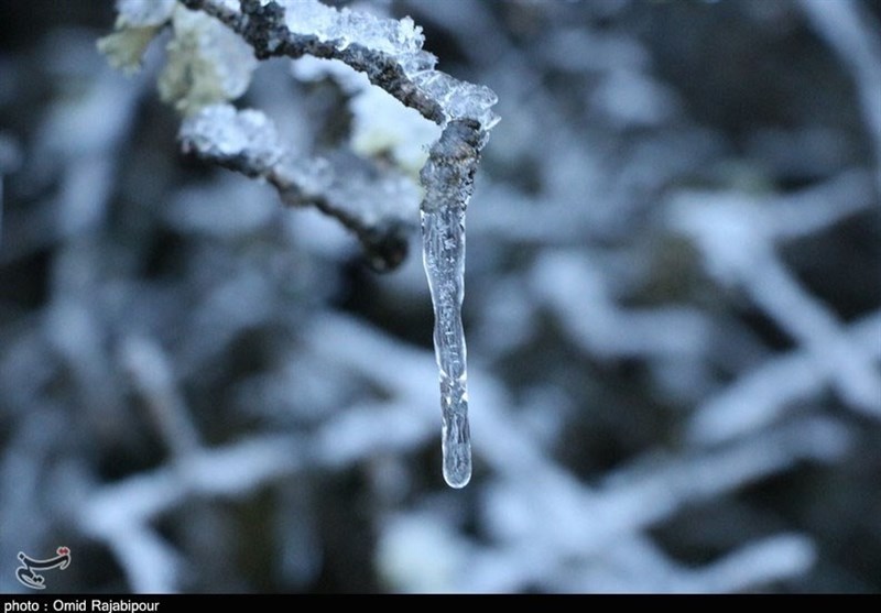 بارش برف پاییزی در ییلاقات گیلان به روایت تصویر