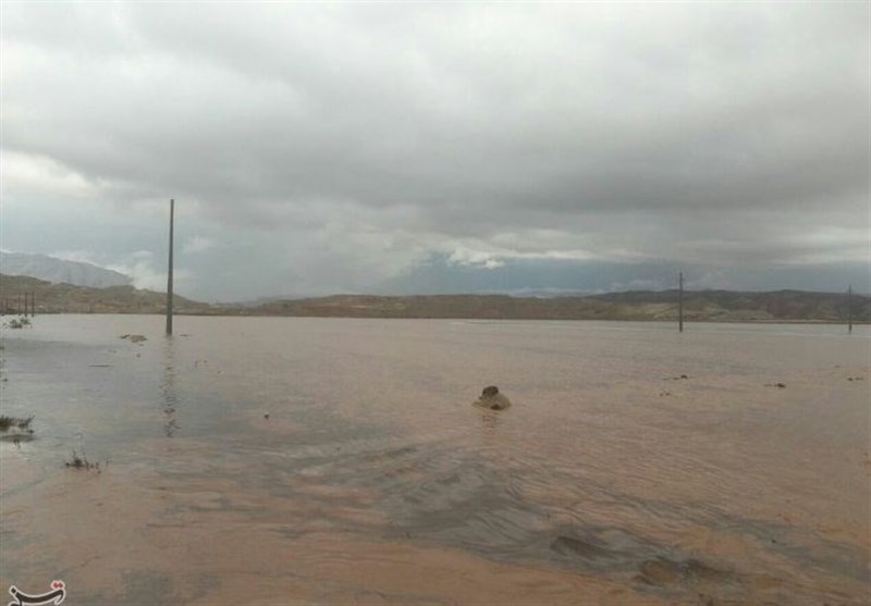 خسارت 40 میلیاردی سیلاب به باغات و مزارع پلدختر؛ آب شرب 42 روستا قطع است