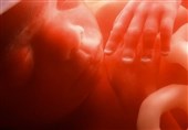 فیلم// حکایت تولد دختری که پدر و مادرش قصد سقط او را داشتند!