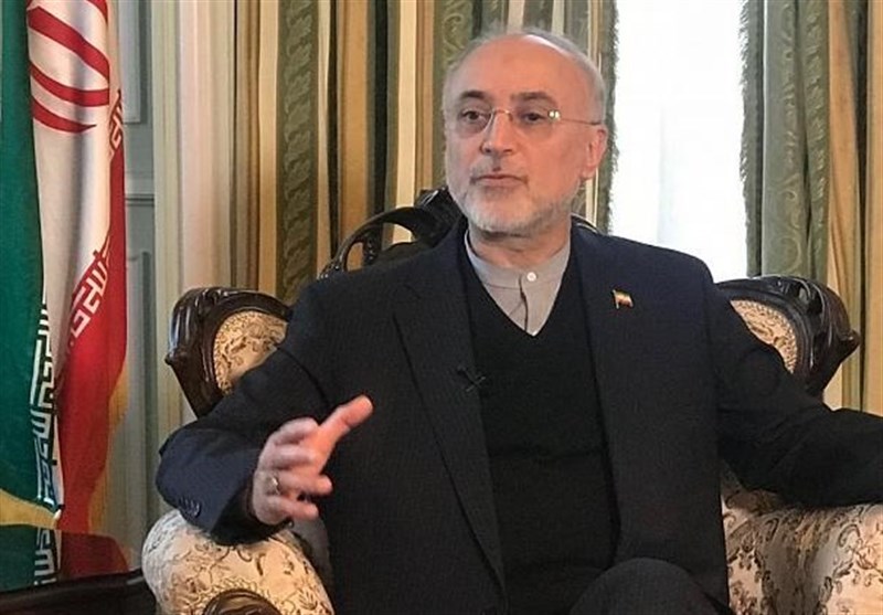 صالحی: با 3 گامی که ایران برداشته فعلا یک توازنی در برجام بوجود آمده است