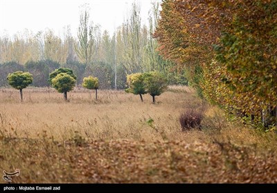 طبیعت پاییزی - ارومیه