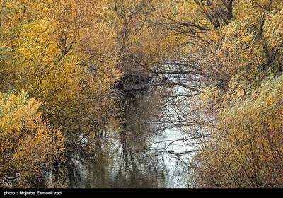 طبیعت پاییزی - ارومیه