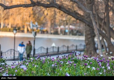 گردشگاه ایل گلی تبریز