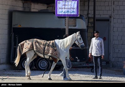 مسابقات کشوری سوارکاری استقامت جام نقش‌جهان - اصفهان 
