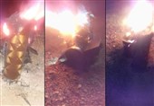 Damascus: Multiple Enemy Missiles Intercepted by Syrian Air Defense System (+Video)