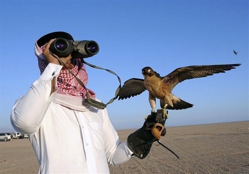پادشاه بحرین برای شکار پرندگان کمیاب به پاکستان می‌رود