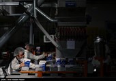 کارگران معلول کارخانه فیروز