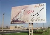 شهرستان گرمسار ظرفیتی برای سرریز جمعیت شرق تهران است/ مصوبات سفر گذشته رئیس جمهور پیگیری شود