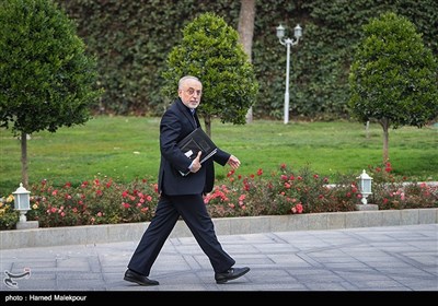 علی‌اکبر صالحی رئیس سازمان انرژی اتمی در حاشیه جلسه هیئت دولت