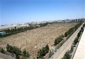 15 هکتار از باغات قم نابود شد‌