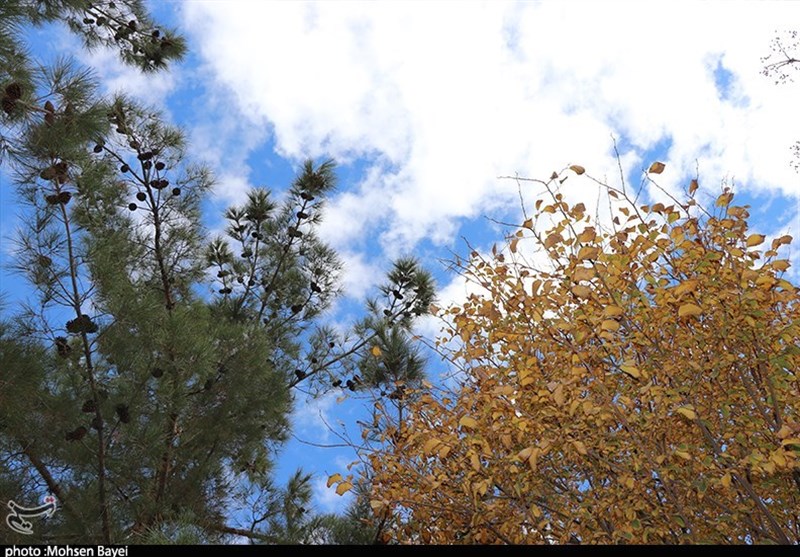 پاییز چشم نواز کاشان به روایت تصاویر