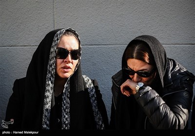شایسته ایرانی و زیبا بروفه همسر مرحوم پیام صابری