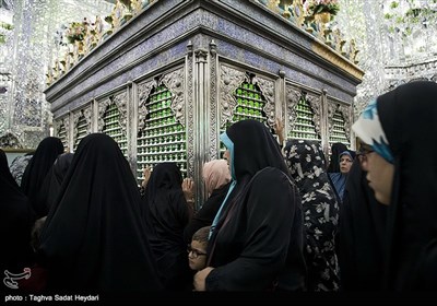 سالروز ولادت حضرت عبدالعظیم حسنی(ع)