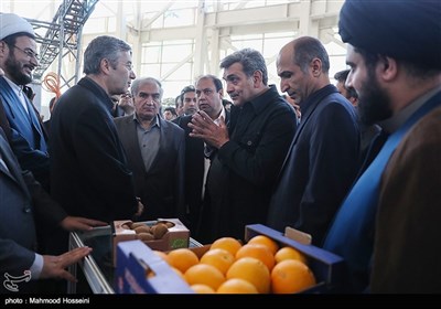 بازدید پیروز حناچی شهردار تهران از یازدهمین نمایشگاه محصولات غذایی ارگانیک