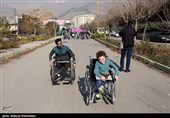 مازندران| 3 هزار دستگاه ویلچر بین معلولان کشور توزیع شد
