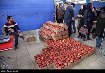 نمایشگاه شب یلدا در کرمانشاه