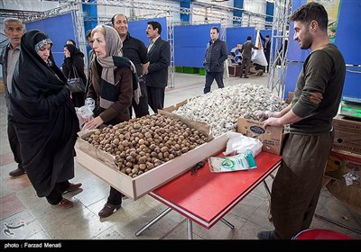 نمایشگاه شب یلدا در کرمانشاه