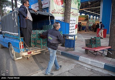 نمایشگاه شب یلدا در کرمانشاه