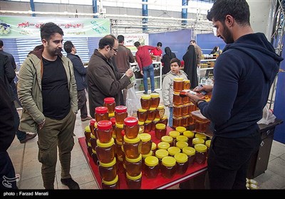 نمایشگاه شب یلدا در کرمانشاه