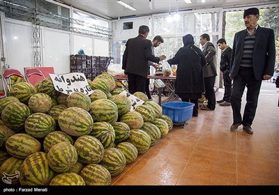 نمایشگاه شب یلدا در کرمانشاه