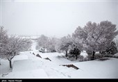 تساقط الثلوج وهطول الامطار الغزیرة فی مدینة سنندج الإیرانیة