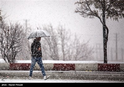 بارش برف در آخرین روزهای پاییز در سنندج