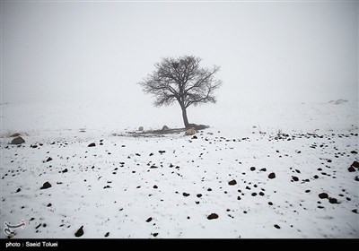 بارش برف در ارتفاعات خراسان شمالی