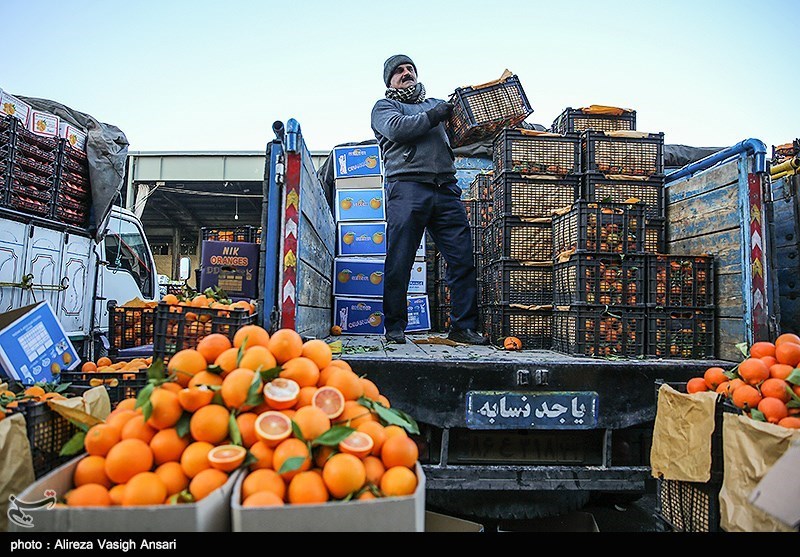 1800 تن پرتقال و 900 تن سیب درختی برای میوه شب عید استان البرز در نظر گرفته شد