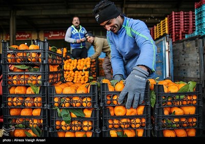  ۱۰۰ بازار جدید میوه و تره‌بار در مناطق مختلف تهران احداث می‌شود + تصاویر 