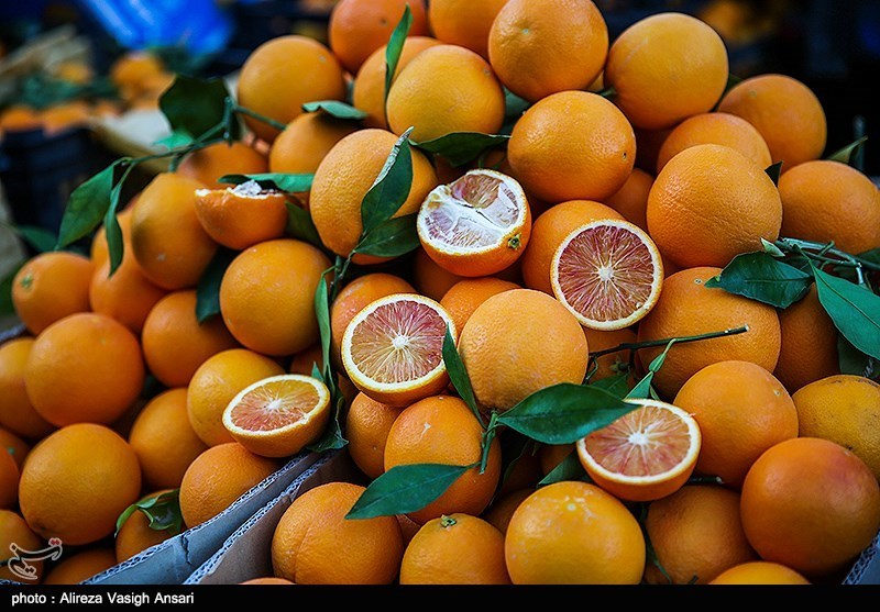 قیمت انواع میوه، خشکبار و مواد پروتئینی در بوشهر؛ یکشنبه 2 دی‌ماه + جدول