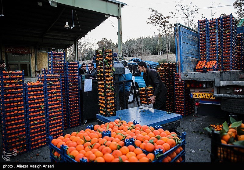 175 تن میوه شب عید در ساوه توزیع می‌شود