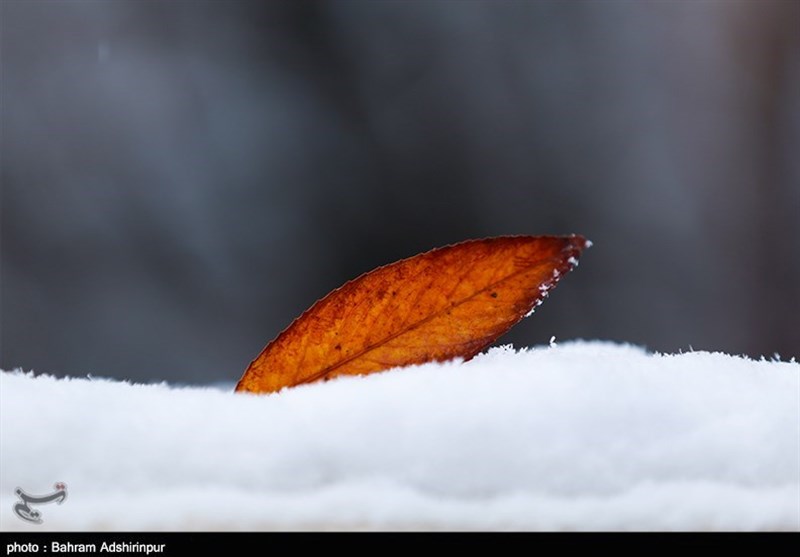 اردبیل| بارش نخستین برف در آخرین روز پاییز به روایت تصویر