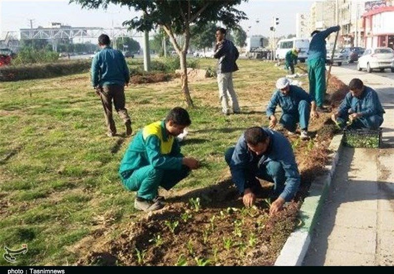 100 هکتار فضای سبز در شهر بیرجند به بهره برداری می‌رسد