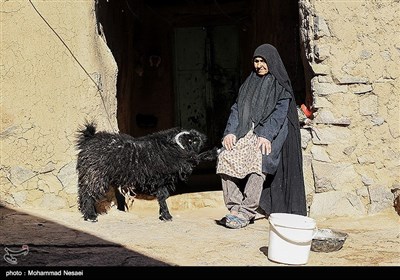 مهاجرت 50 درصد از روستاییان خراسان جنوبی به علت خشکسالی و بحران اب میباشد.حدود 44 درصد از مساحت استان درگیر خشکسالی شدید هستند.