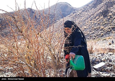 مهاجرت 50 درصد از روستاییان خراسان جنوبی به علت خشکسالی و بحران اب میباشد.حدود 44 درصد از مساحت استان درگیر خشکسالی شدید هستند.