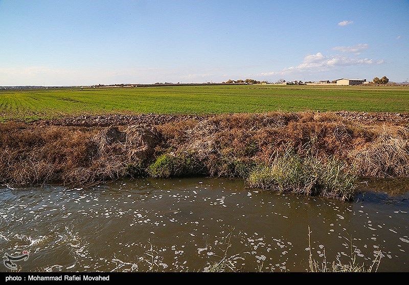 البرز| آب مطمئن در شهرک صنعتی اشتهارد وجود ندارد
