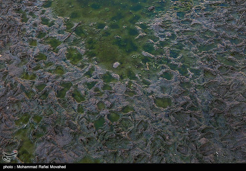 استفاده از آب‌های خاکستری به بحران 10 ساله آب اصفهان پایان می‌دهد