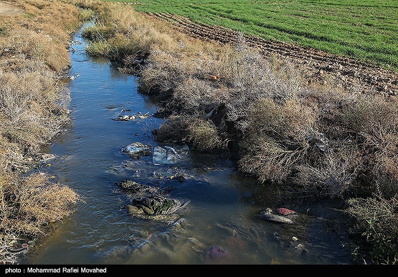 آبیاری 32 هزار هکتار زمین کشاورزی در تهران با فاضلاب شهری