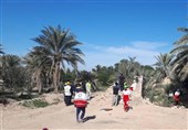 بوشهر| مانور امداد و نجات چند منظوره در شهرستان دشتی برگزار شد