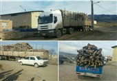 دادگستری آذربایجان شرقی دستور توقف قطع و حمل غیر قانونی درختان جنگلی و شهری را صادر کرد