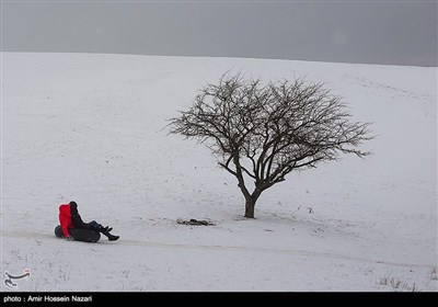 بارش برف در ارتفاعات قزوین