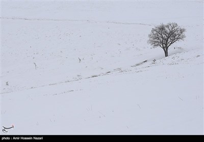 بارش برف در ارتفاعات قزوین