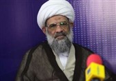 عضو مجلس خبرگان رهبری: حضور امام رضا(ع) در ایران سبب عظمت تشیع شد