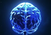 راه‌اندازی 4 خدمت جدید در آزمایشگاه ملی نقشه‌برداری مغز
