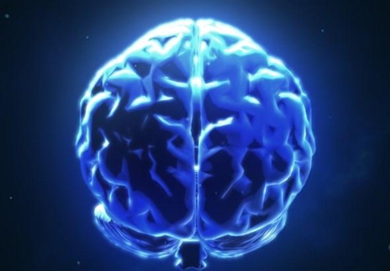 7 3 brain. Телепатия мозг. BRAINET. Brain connect. Three Brain Blocks.