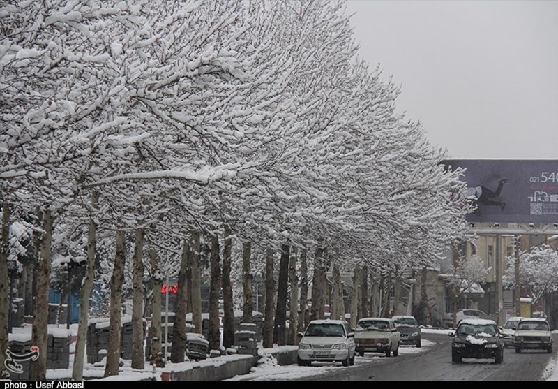 بارش نخستین برف زمستانی در ارومیه به روایت تصویر