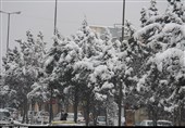 بارش برف چهره قزوین را سفیدپوش کرد